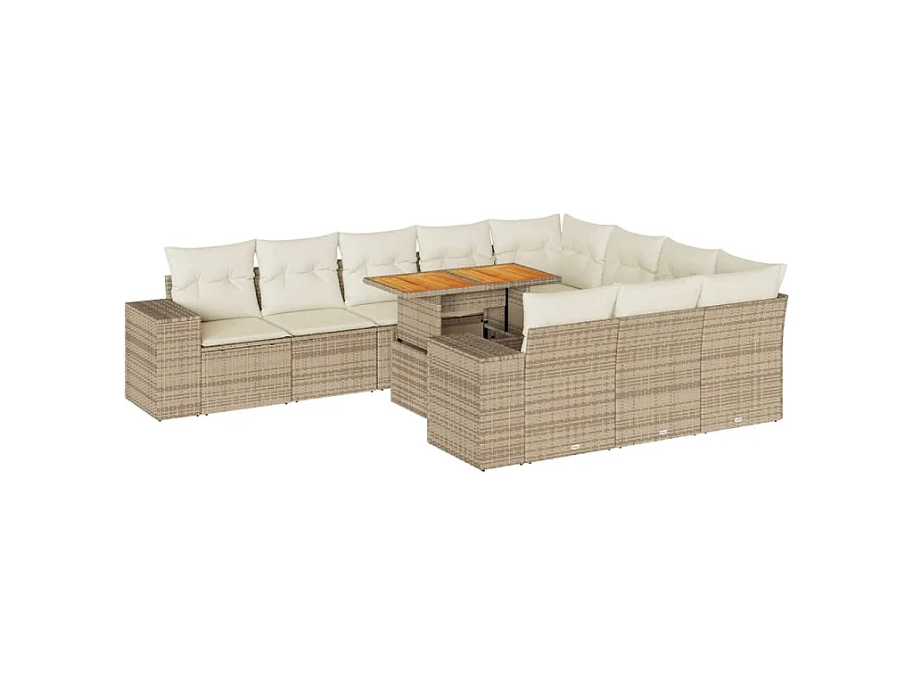 Salon de jardin avec coussins 10pcs beige résine tressée acacia