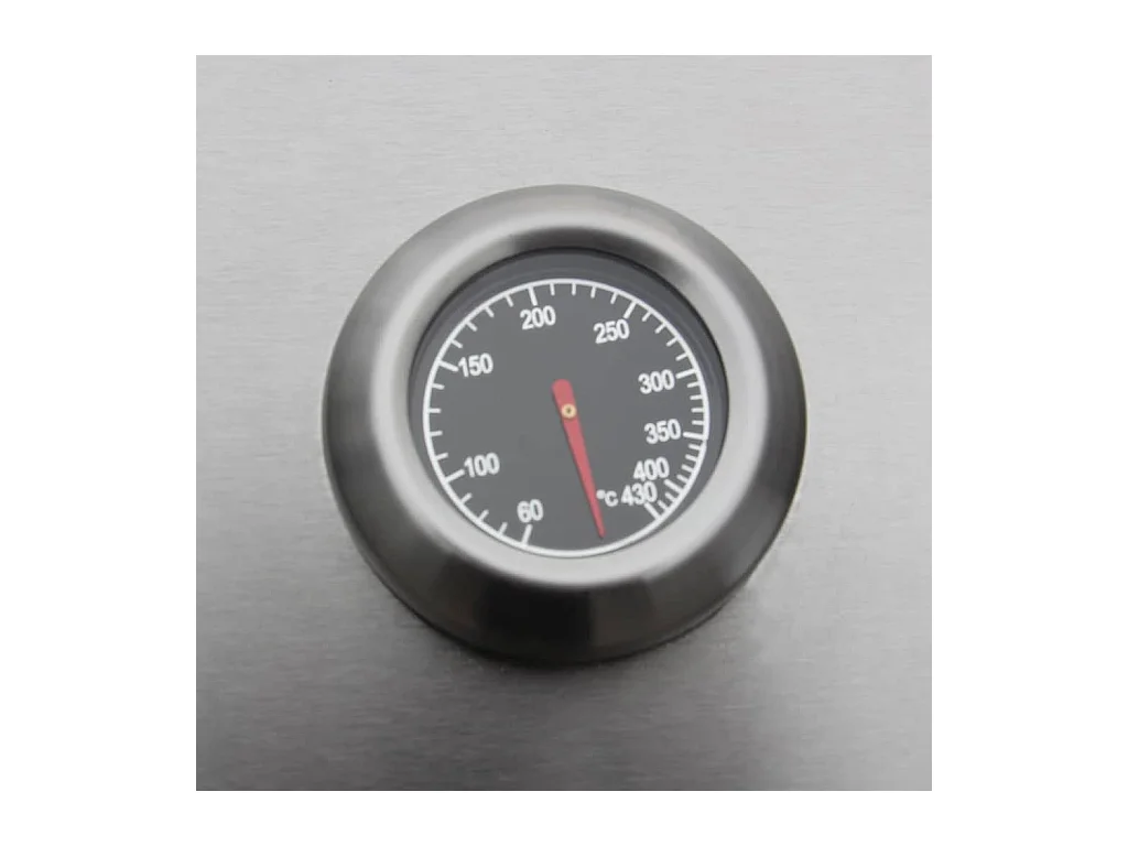 Barbecue à gaz 6 + 1 zone de cuisson Noir et argenté