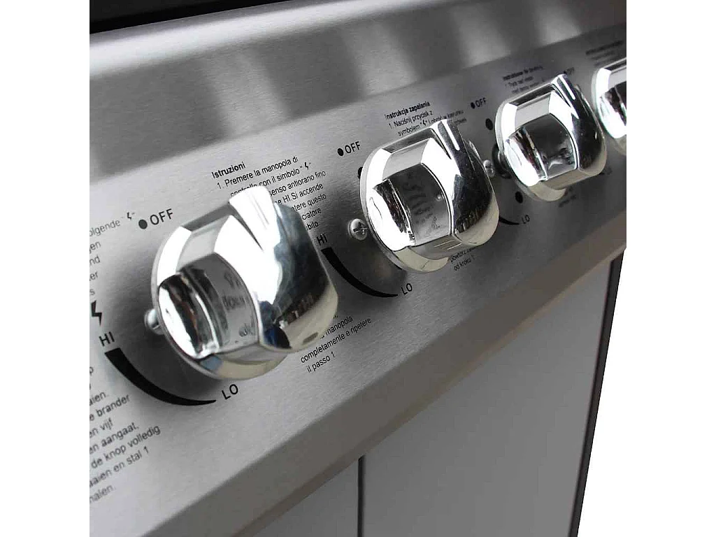 Barbecue à gaz 6 + 1 zone de cuisson Noir et argenté