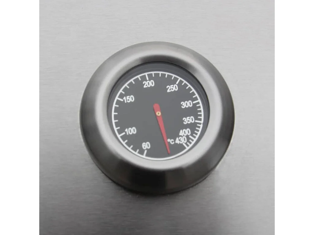 Barbecue à gaz 6 + 1 zone de cuisson Noir et argenté