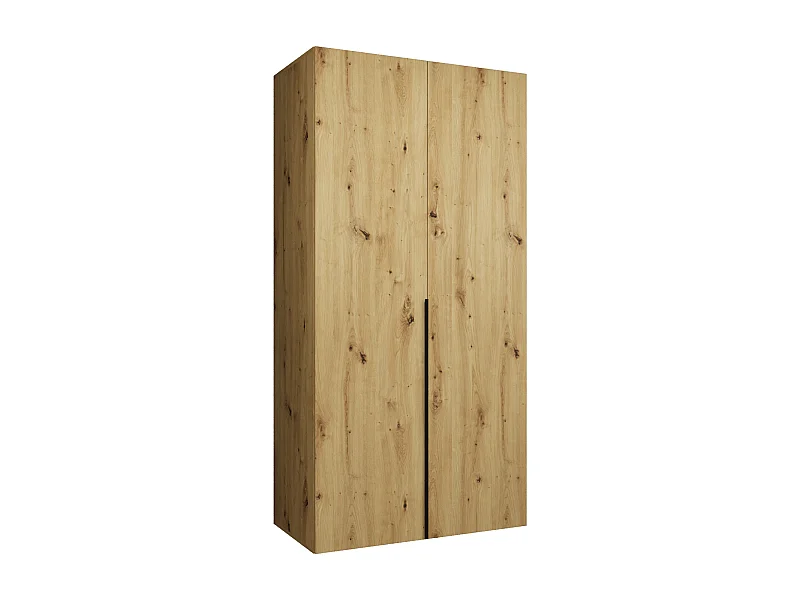 Armoire à portes battantes Alicante 1 202/100/52 2 portes (artisan/noir)