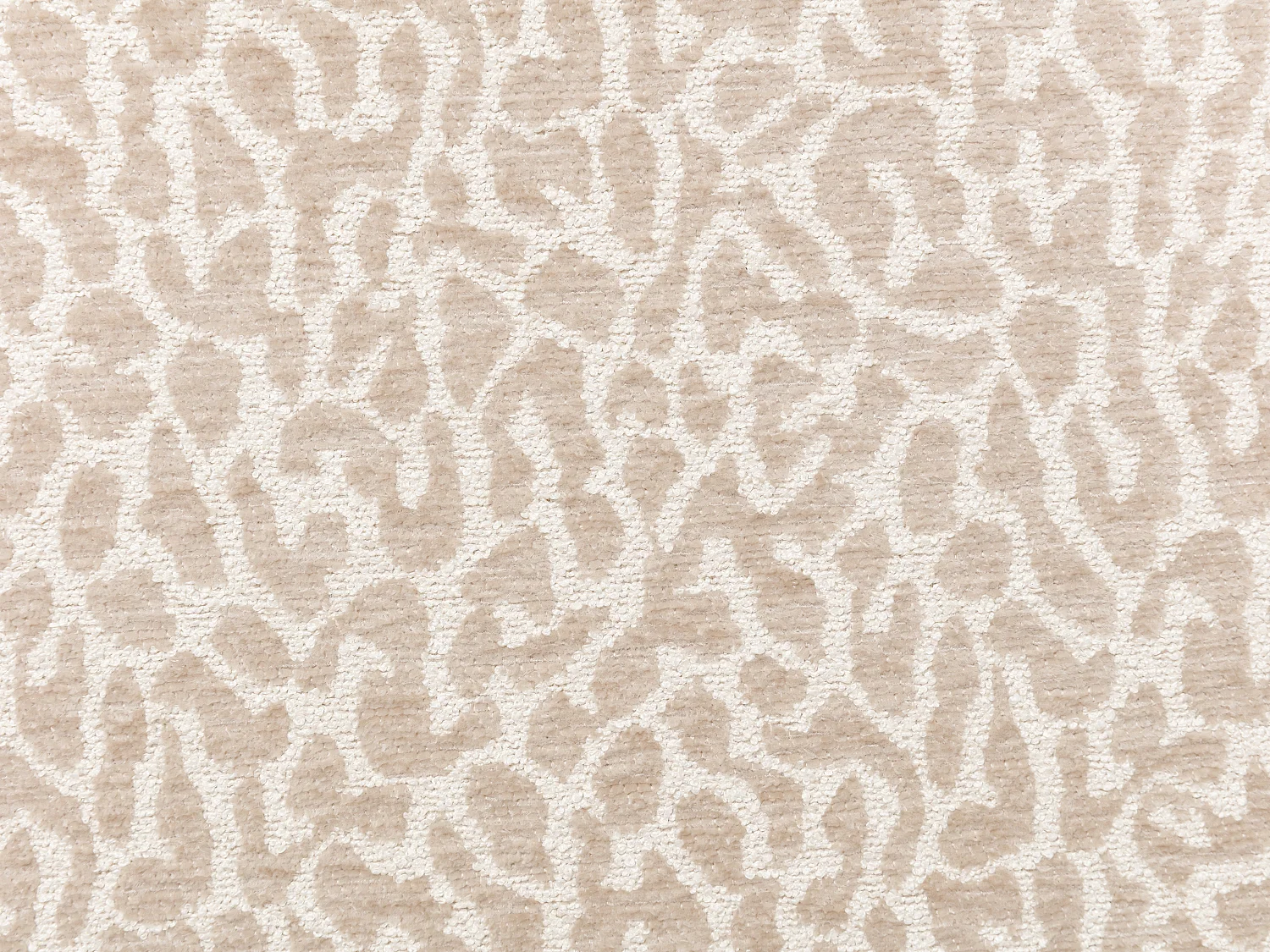 Set med 2 stolar i tvåfärgat texturerat tyg och svart gummiboksträ - Krämfärgad och beige - WILANA