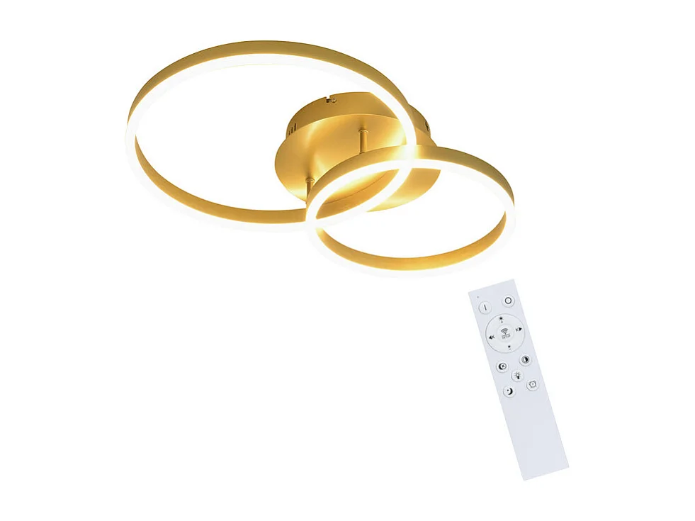 NETTLIFE Plafonnier LED à intensité variable, lampe de salon noire, lampe de chambre moderne, 46 W, 2 anneaux