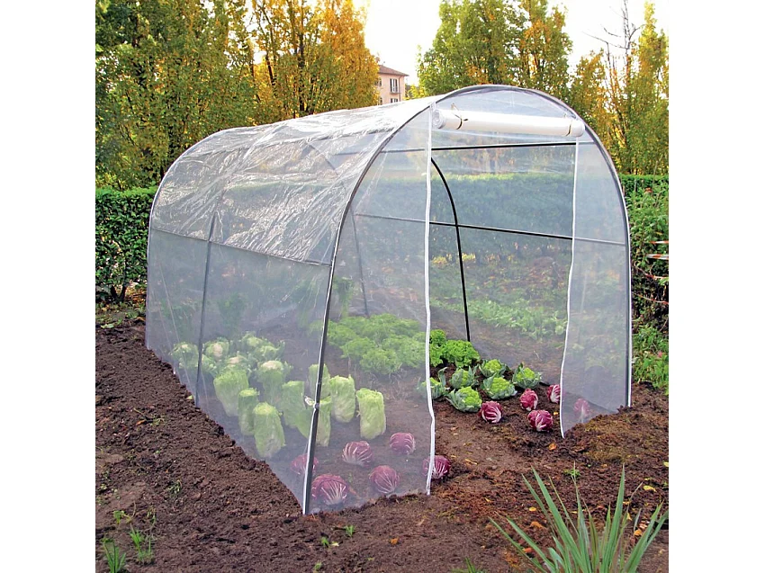 Serra da giardino 200x300xh180cm tunnel in PVC fiori piante LinaL