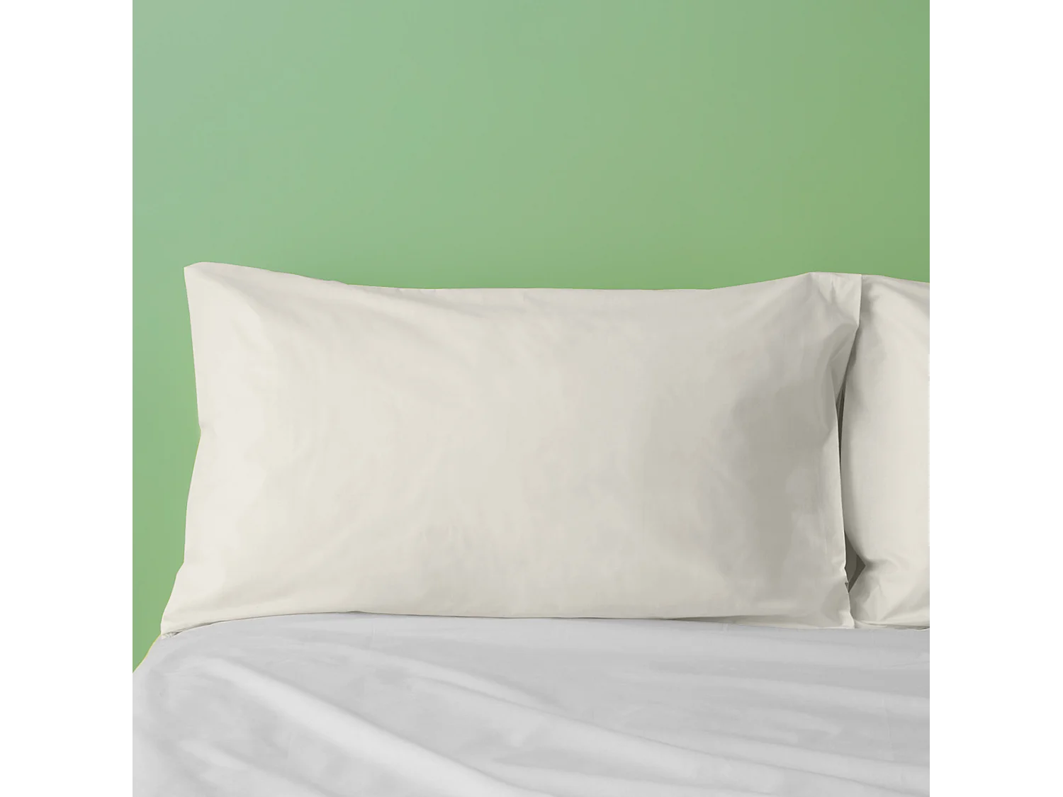 Federa in puro cotone tinta unita avorio (50x80cm)