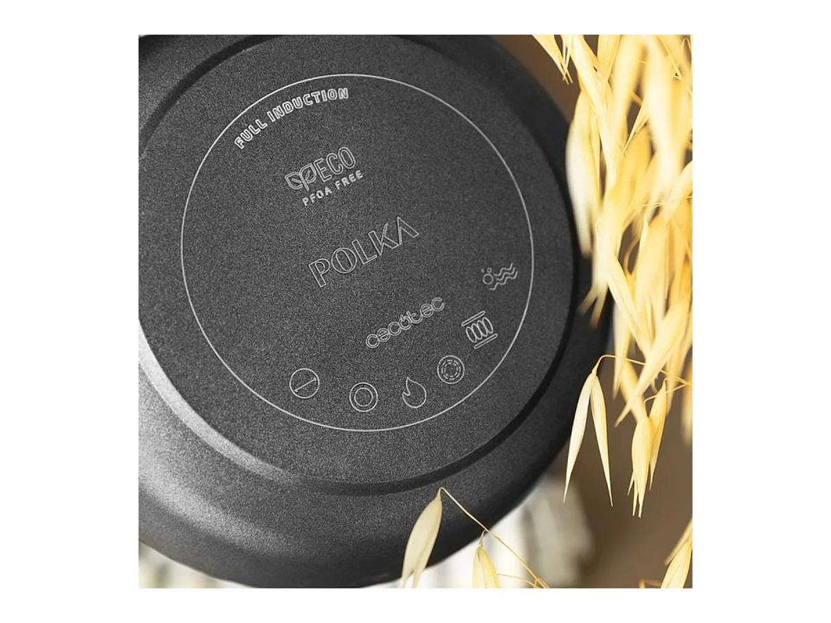 Sartén Cecotec Polka Excellence 24 Bucket Force aluminio fundido negro Ø24 cm