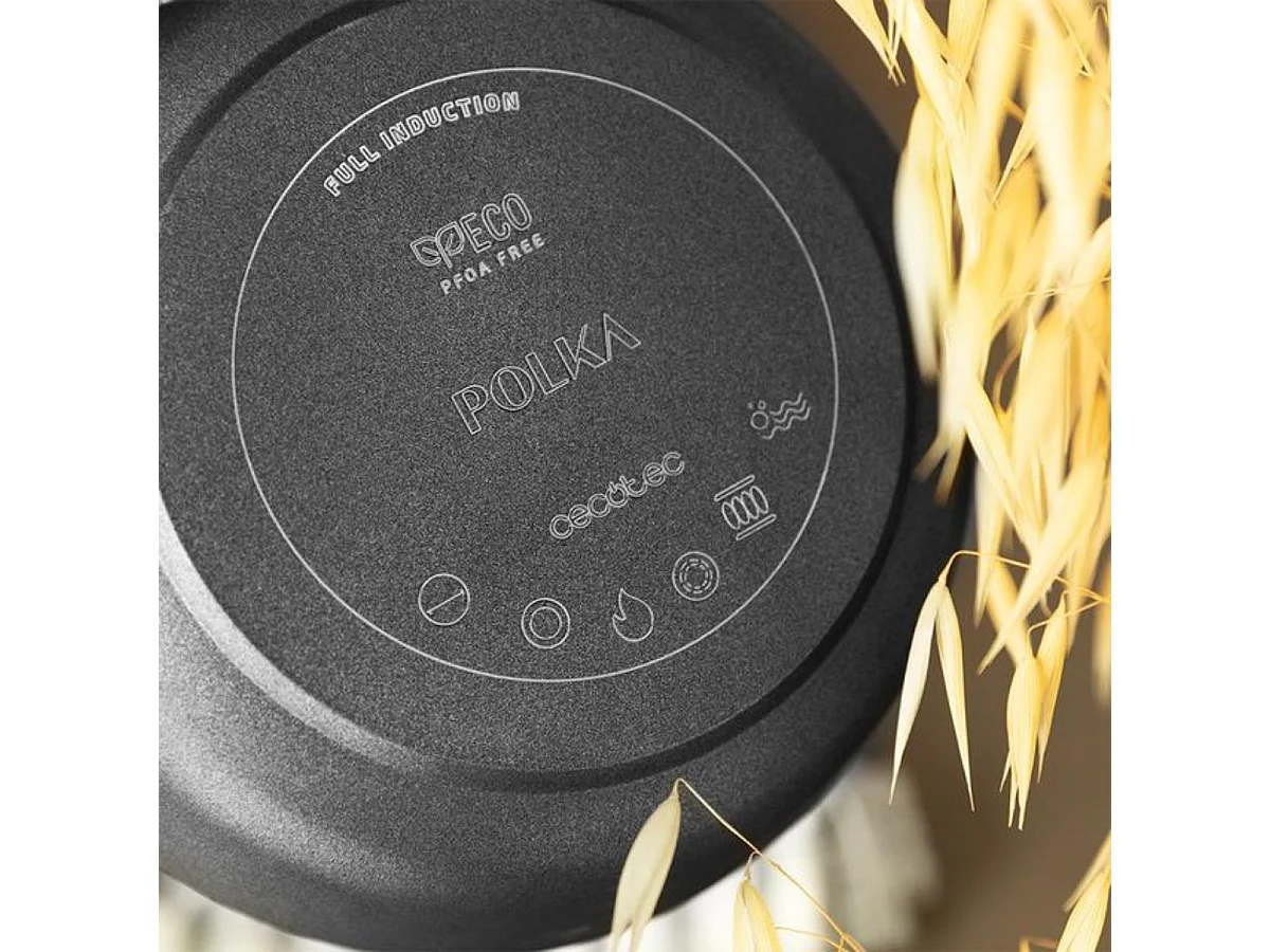 Sartén Cecotec Polka Excellence 24 Bucket Force aluminio fundido negro Ø24 cm