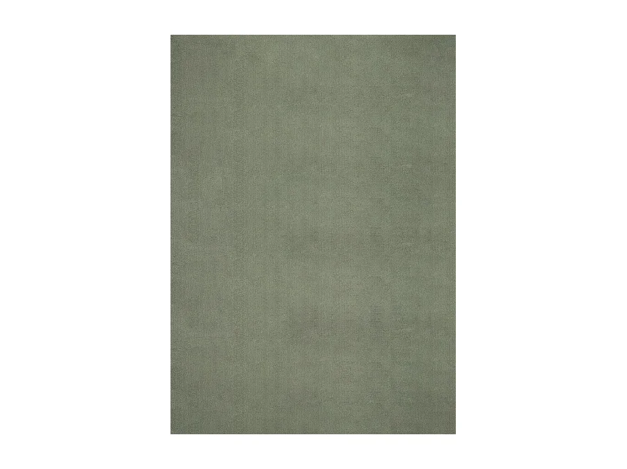 Tapis uni antidérapant lavable Forêt - 200 x 280 cm - RELAX