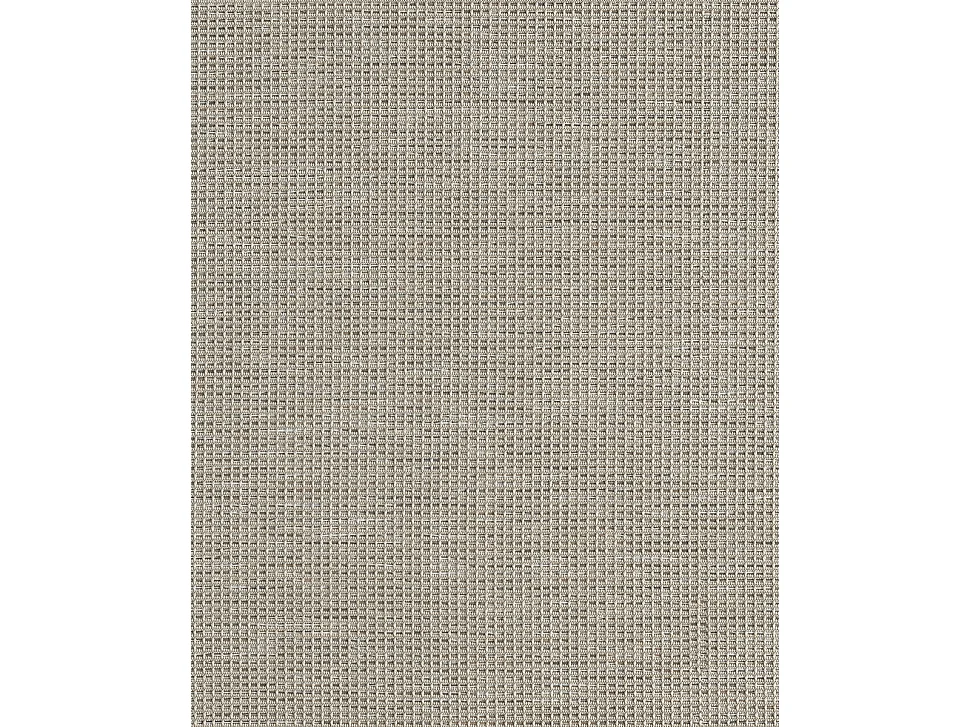 Tapis intérieur extérieur design moderne - Beige Gris - 80 x 150 cm - CALGARY
