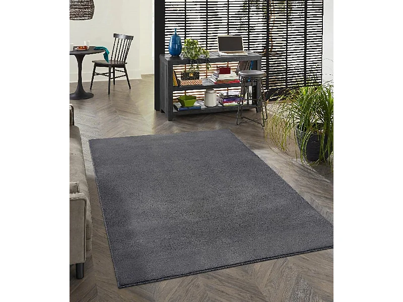 Tapis moderne fourrure chaud douillet lavable - Anthracite - 240 x 340 cm - COSY