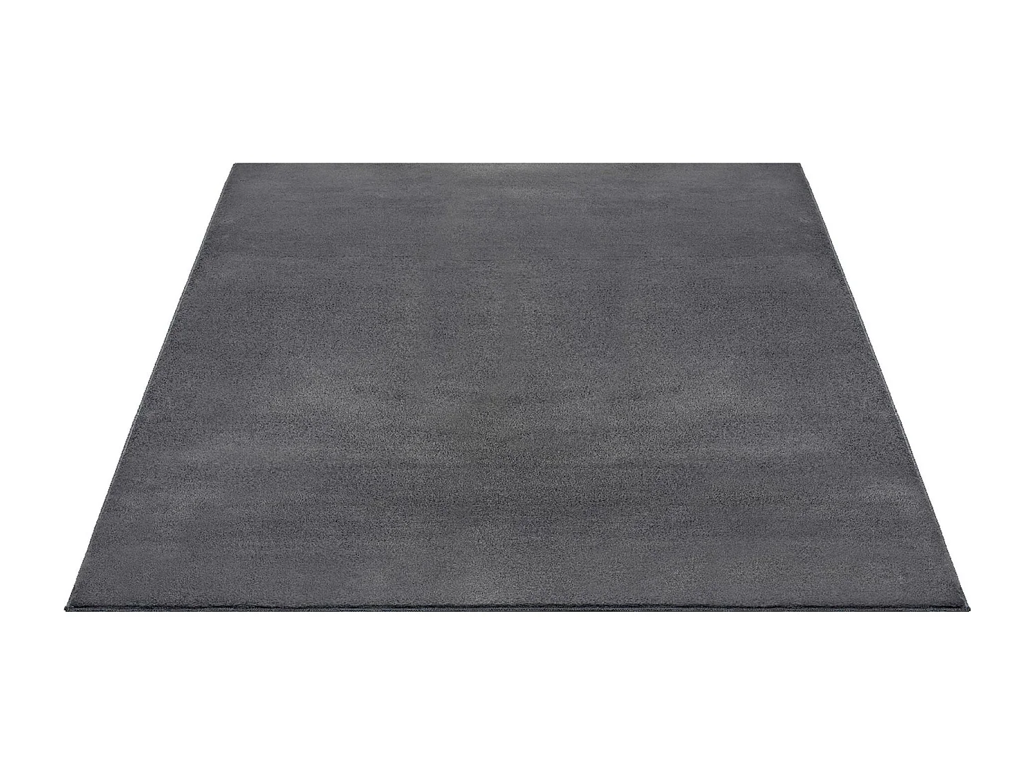 Tapis moderne fourrure chaud douillet lavable - Anthracite - 240 x 340 cm - COSY