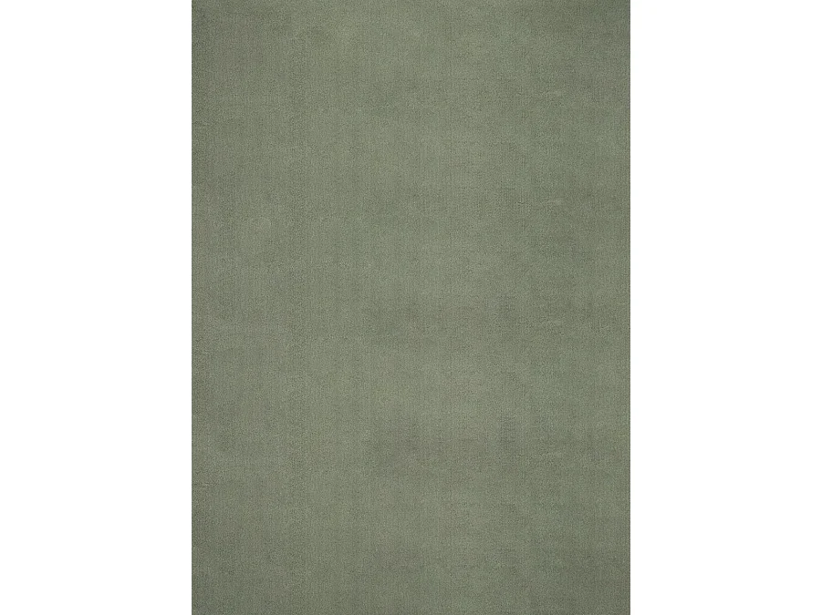 Tapis uni antidérapant lavable Forêt - 300 x 400 cm - RELAX