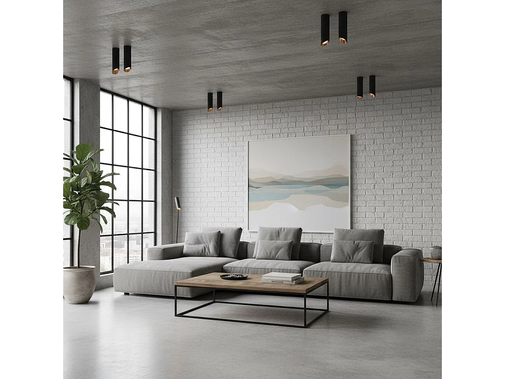 Toolight ceiling lamp APP572-1C 30CM Black Gold