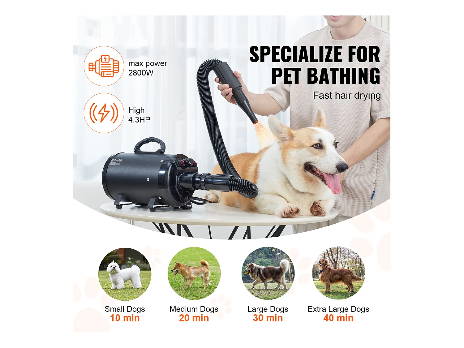 Sèche-Poils Toilettage SucceBuy Sèche-Cheveux pour Chiens Chats Animaux de Compagnie 2000 W, Vitesse Réglable, 4 Buses, Noir