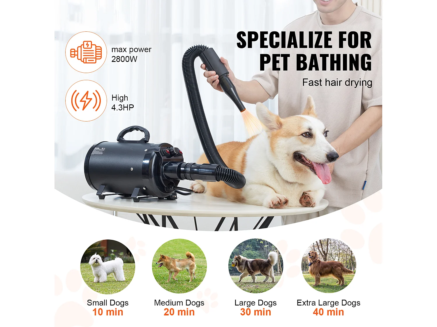 Sèche-Poils Toilettage SucceBuy Sèche-Cheveux pour Chiens Chats Animaux de Compagnie 2000 W, Vitesse Réglable, 4 Buses, Noir