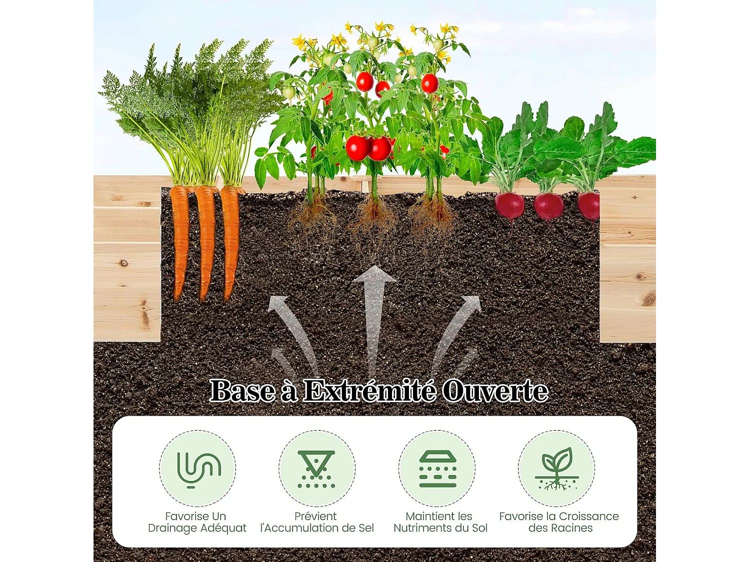 Jardinière Surélevée en Bois avec 2 Bacs à Fleurs et Séparateurs, Lit de Jardin pour Culture Fruits Légumes, Jardinière pour Patio Balcon, 228 x 62 x 25 cm
