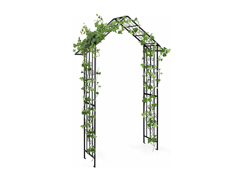 Arche de Jardin Moderne en Métal pour Plantes Grimpantes, Treillis de Jardin Extérieur avec Toit Élégant, Arche Décorative pour Mariage, Fête, 140 x 40 x 223 cm