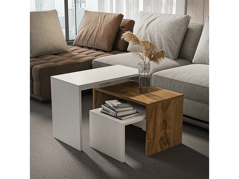 Andro Tables Gigognes Tables Basse Set de 3 Sizes différents (Blanc et Oud)