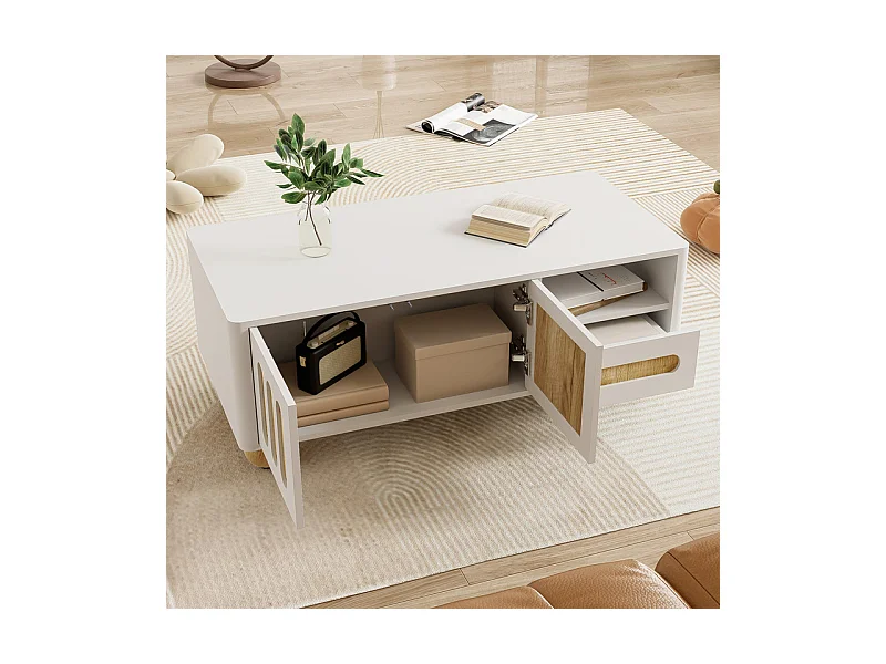 Rechthoekige salontafel 4 deuren, 2 lades - Met LED en bolpoten - 105x50x40cm