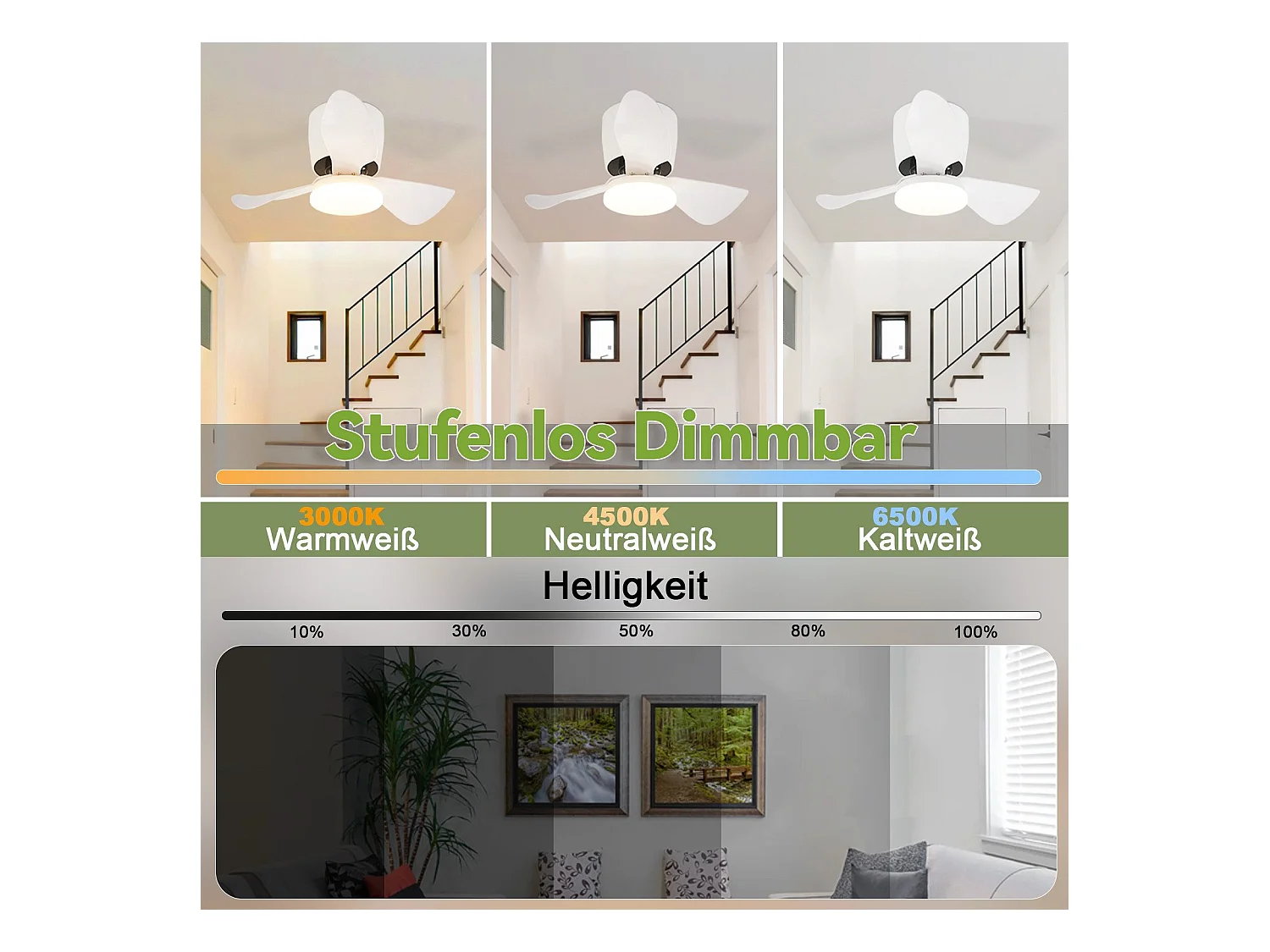 Ventilateur de plafond NETTLIFE avec éclairage, variateur, silencieux, 70 cm, LED, 23 W, blanc, été/hiver, minuterie 6 vitesses