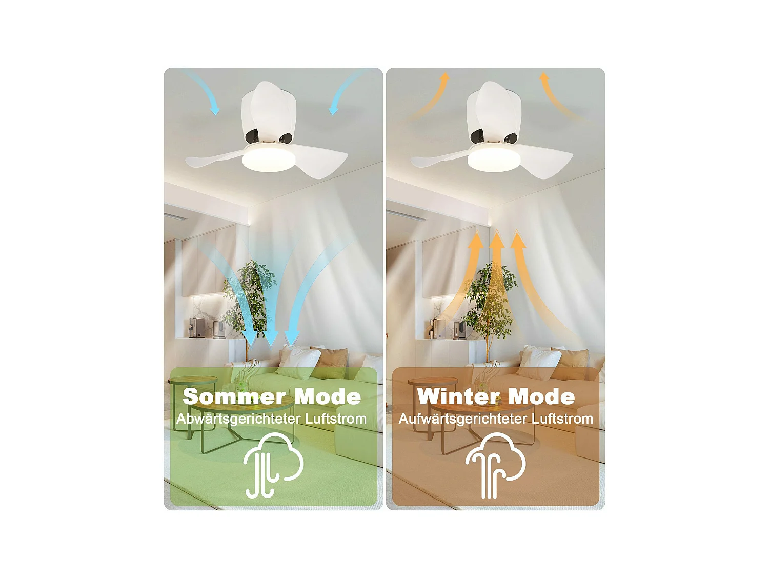 Ventilateur de plafond NETTLIFE avec éclairage, variateur, silencieux, 70 cm, LED, 23 W, blanc, été/hiver, minuterie 6 vitesses