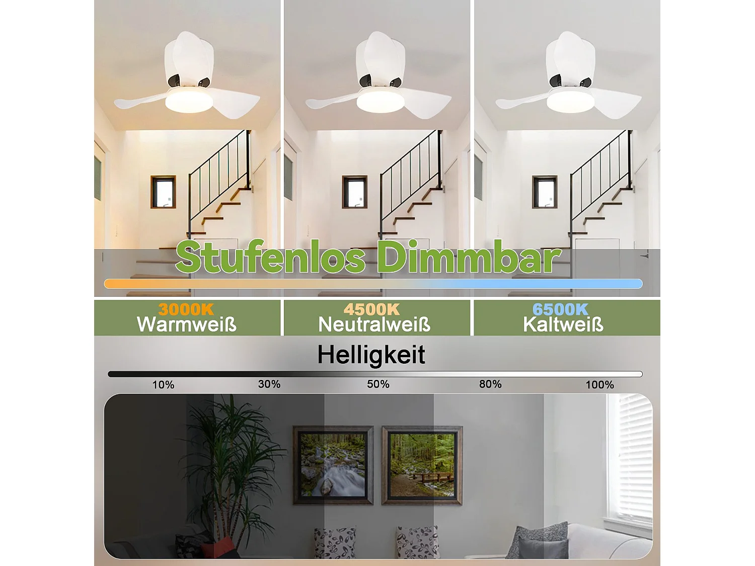 Ventilateur de plafond NETTLIFE avec éclairage, variateur, silencieux, 70 cm, LED, 23 W, blanc, été/hiver, minuterie 6 vitesses