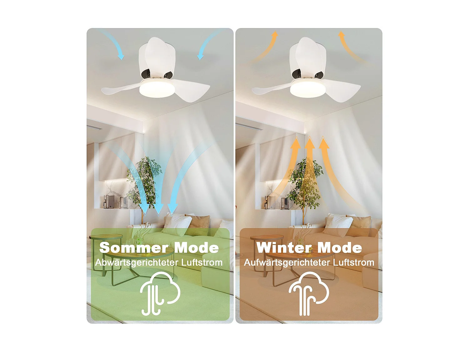 Ventilateur de plafond NETTLIFE avec éclairage, variateur, silencieux, 70 cm, LED, 23 W, blanc, été/hiver, minuterie 6 vitesses