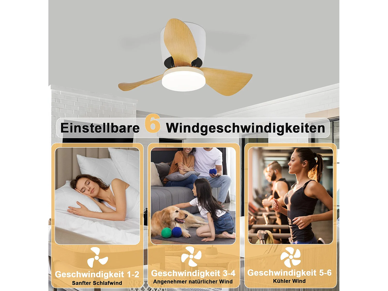 NETTLIFE Deckenventilator mit Beleuchtung und Fernbedienung, 23 W LED, dimmbar, leise, 70 cm, Sommer-/Winter-Timer, 6 Geschwindigkeiten