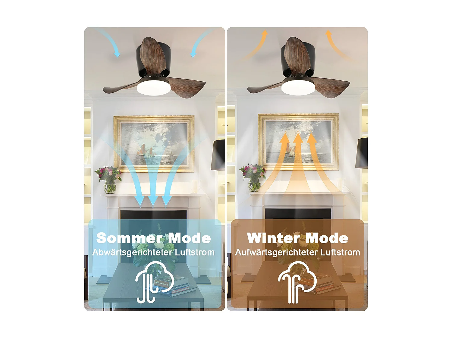 Ventilateur de plafond LED NETTLIFE avec éclairage et télécommande silencieux 23 W 70 cm Noir Été/Hiver Minuterie 6 vitesses
