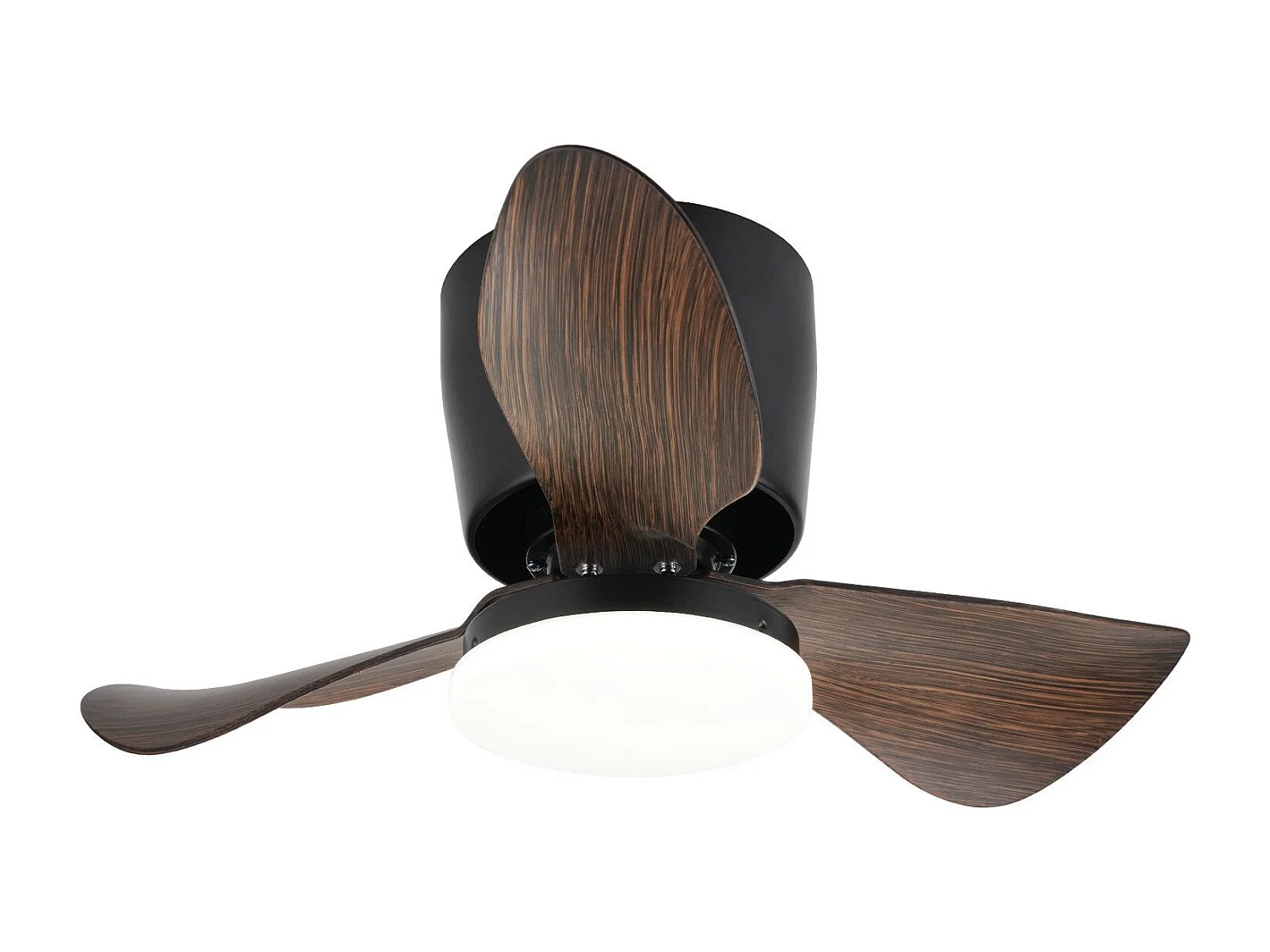 Ventilateur de plafond LED NETTLIFE avec éclairage et télécommande silencieux 23 W 70 cm Noir Été/Hiver Minuterie 6 vitesses