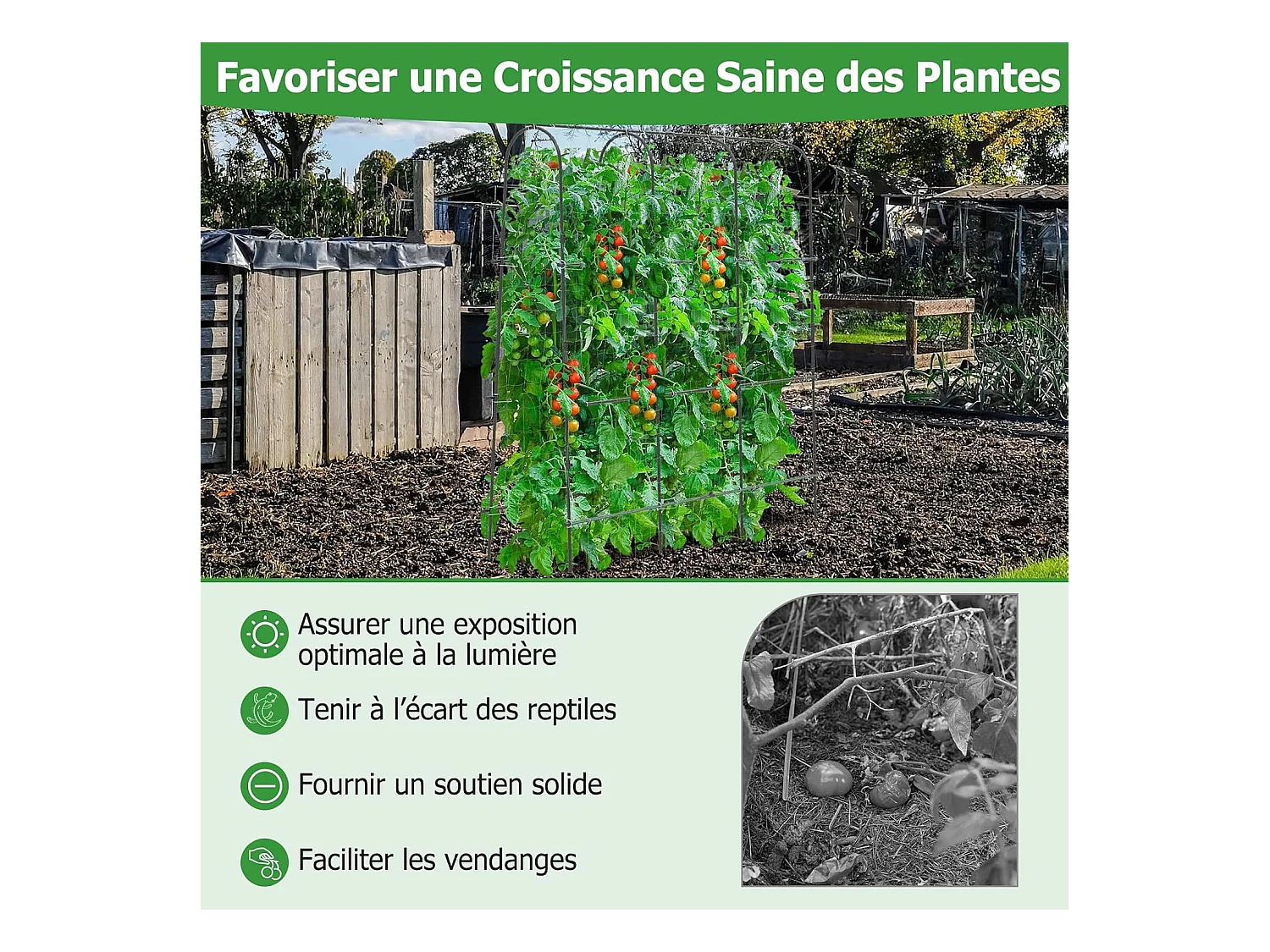 Treillis Arqué de Jardin pour Plantes Grimpantes 179 x 180 cm, Treillis en ‘U’ pour Jardin Surélevé avec Poteaux Métalliques, Cadre de Support pour Légumes Fleurs