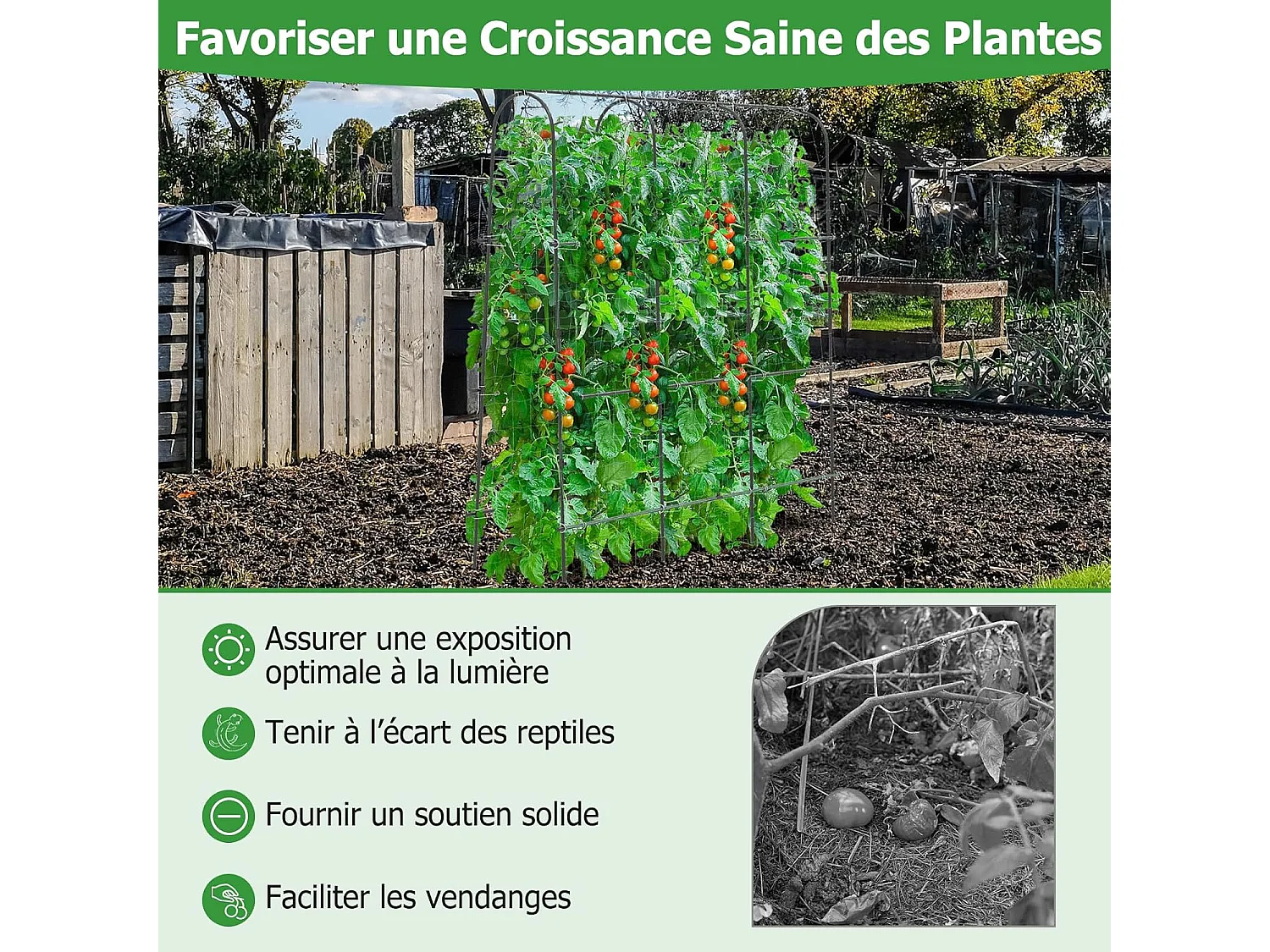 Treillis Arqué de Jardin pour Plantes Grimpantes 179 x 180 cm, Treillis en ‘U’ pour Jardin Surélevé avec Poteaux Métalliques, Cadre de Support pour Légumes Fleurs