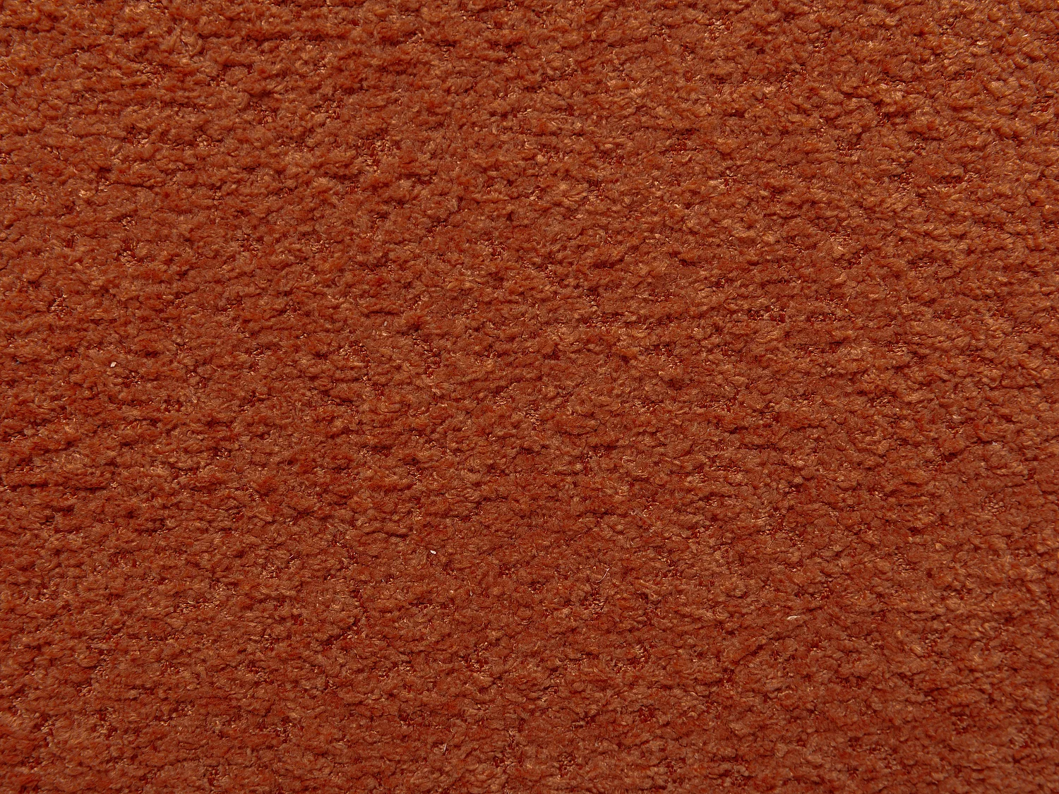 Lot de 2 chaises en tissu bouclette et bois d'hévéa noir - Terracotta - WILANA