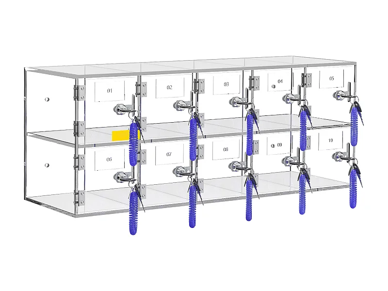 Handy-Schließfach aus Acryl SucceBuy, Aufbewahrungsschrank mit 10 Fächern und Schlüsseln,Transparent