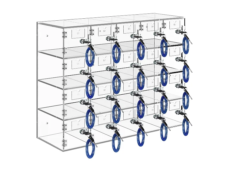 Casier pour Téléphone SucceBuy Portable en Acrylique, Armoire de Rangement à 10 Emplacements avec Clés, Transparent