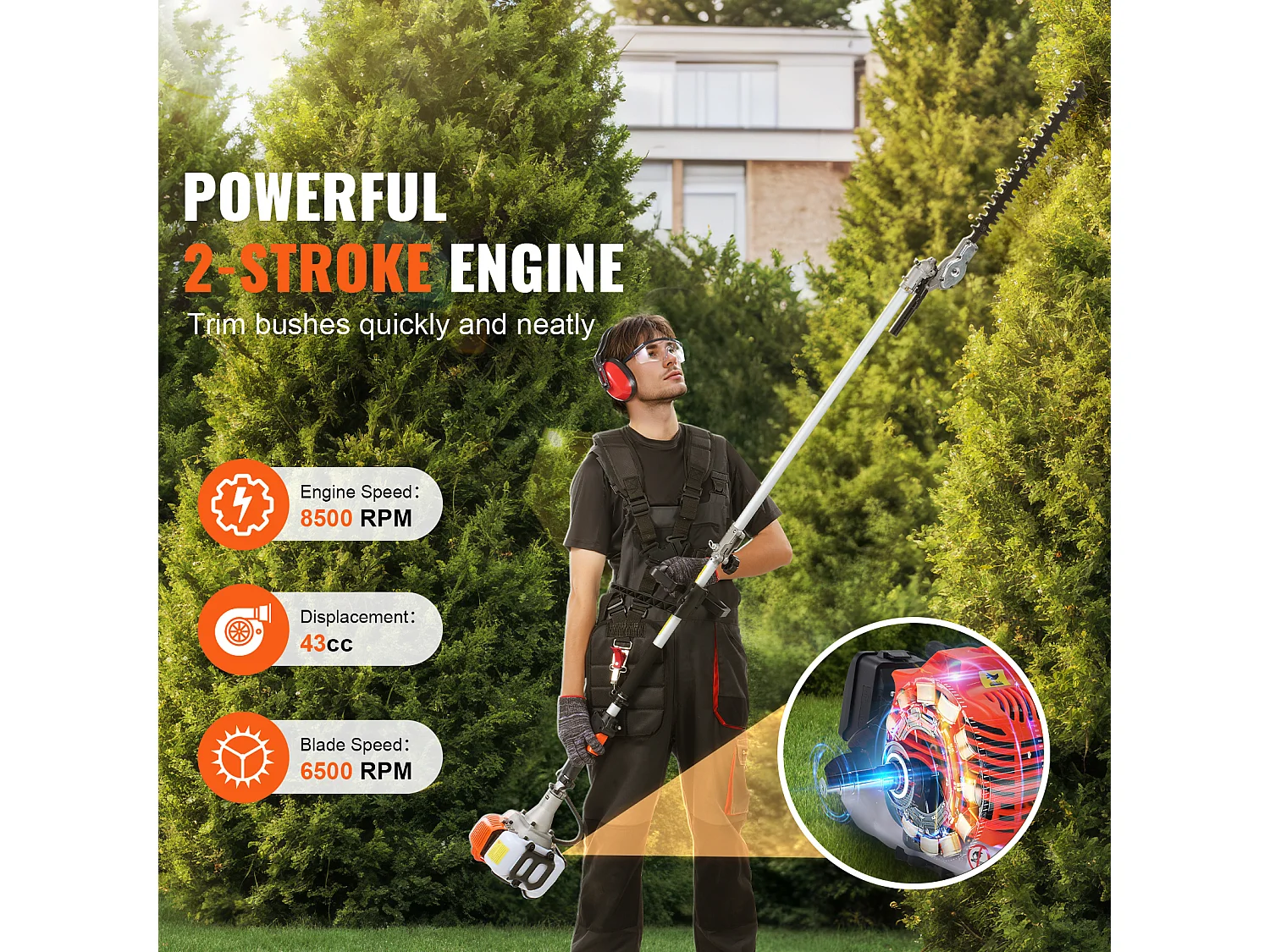 Hecht jardin SucceBuy 43CC 6-En-1 Outils de Coupe à Essence, Taille-Haie et Coupe-Herbe