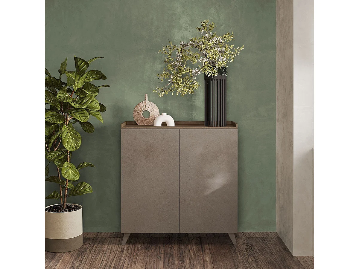 Aparador 2 puertas y 2 estantes L121 cm - TRAY