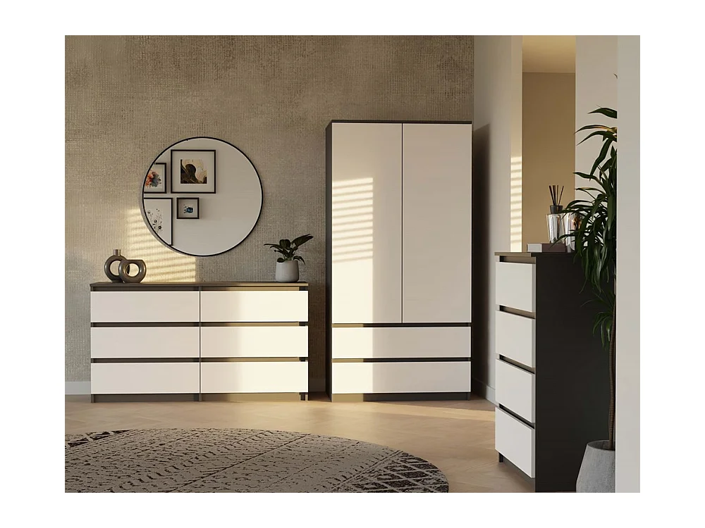 TURIN - Armoire de chambre - Penderie multifonctions - 2 portes + 2 tiroirs - Dressing - Anthracite et Blanc