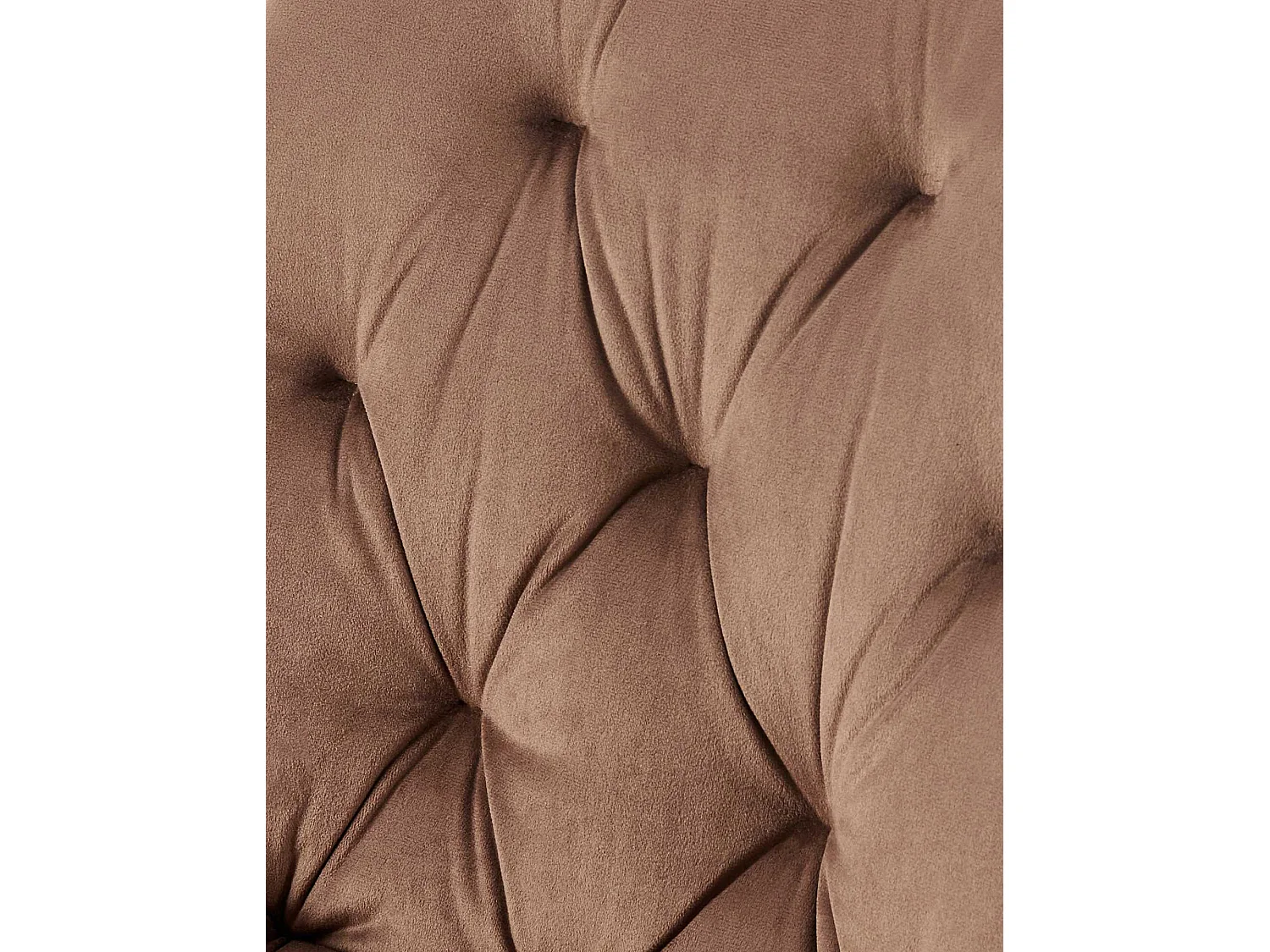 Lot de 2  chaise salle à manger - Velours - Marron - Wallace