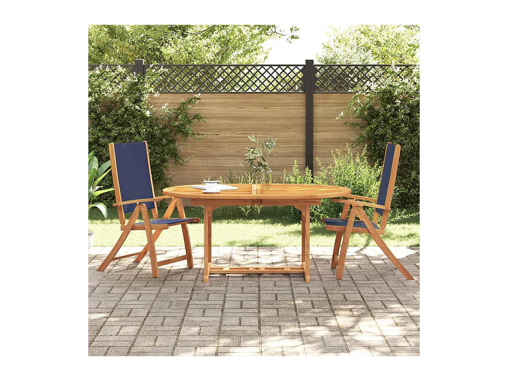 Chaises pliables de jardin lot de 2 bois d'acacia et textilène