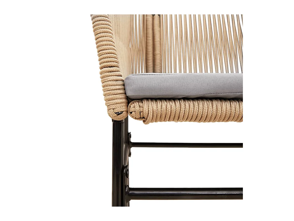 Chaises de jardin lot de 2 et coussins marron rotin