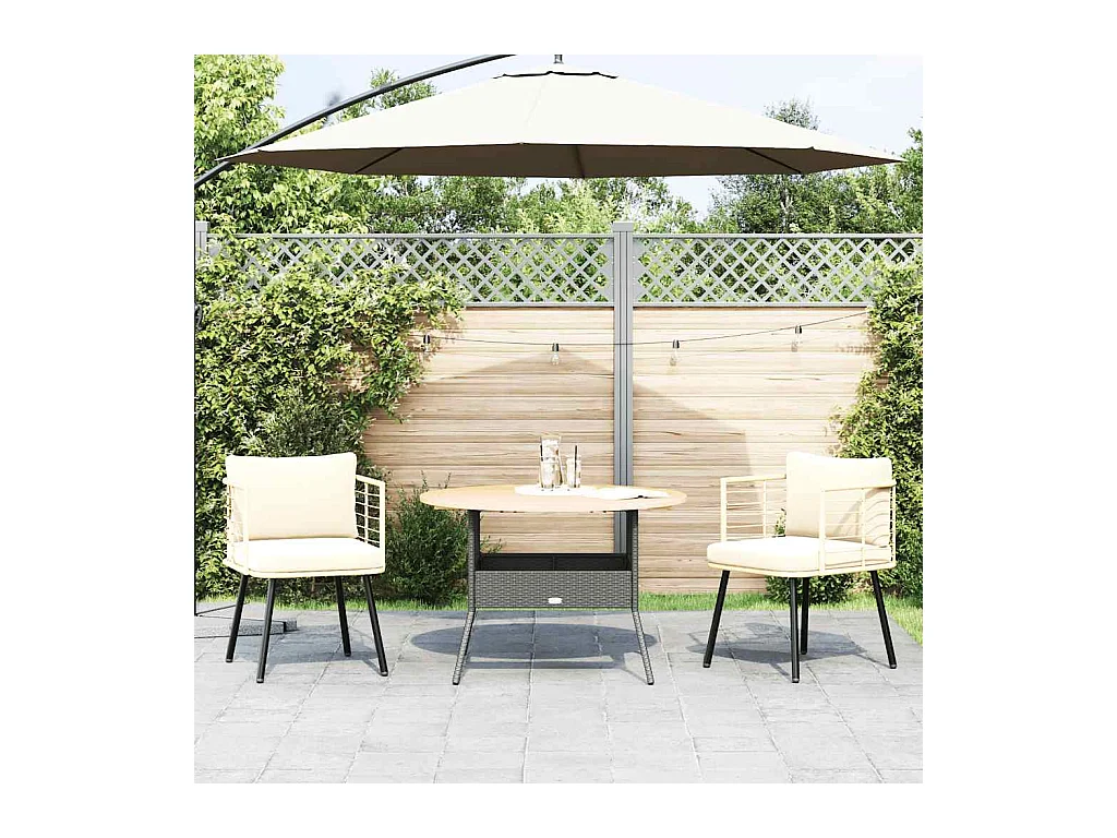 Chaises de jardin lot de 2 avec coussins naturel résine tressée