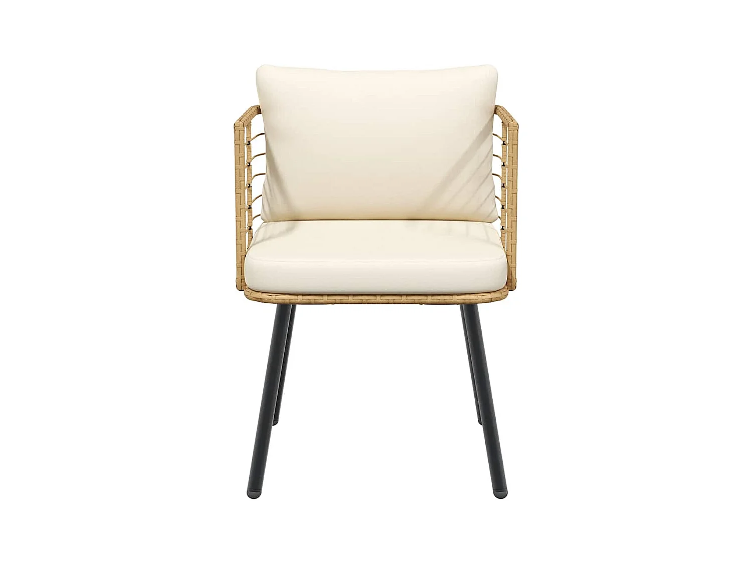 Chaises de jardin lot de 2 avec coussins naturel résine tressée