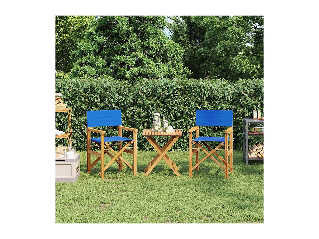 Chaises de metteur en scène pliantes lot de 2 Bois teck massif