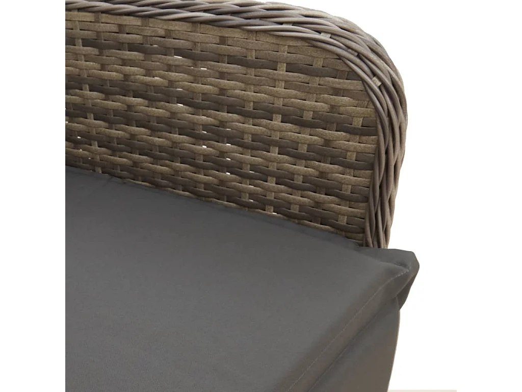 Chaises inclinables de jardin lot de 2 et coussins gris rotin