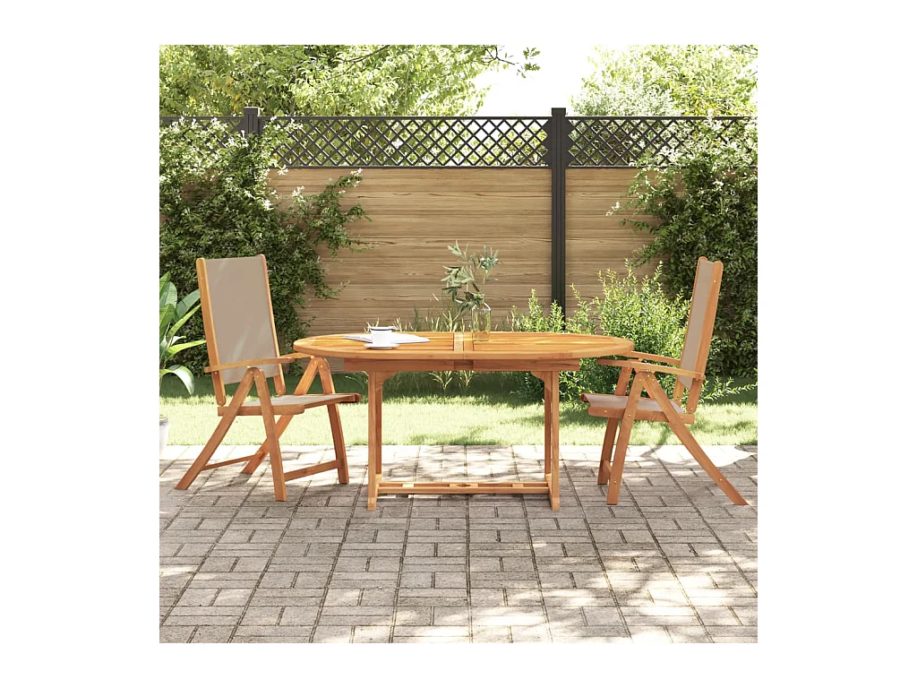 Chaises pliables de jardin lot de 2 bois d'acacia et textilène