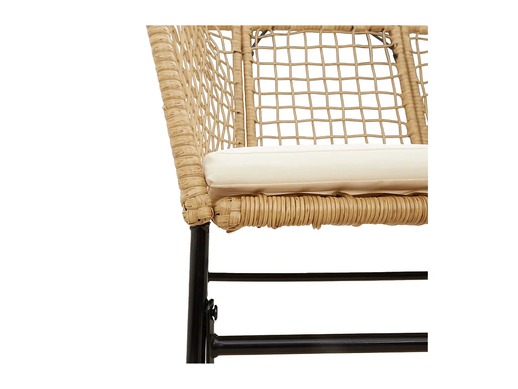 Chaises de jardin lot de 2 et coussins marron rotin