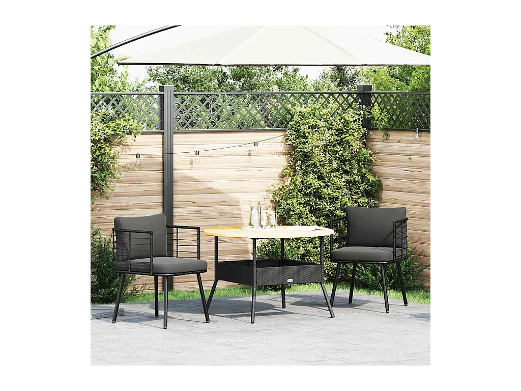 Chaises de jardin lot de 2 avec coussins noir résine tressée