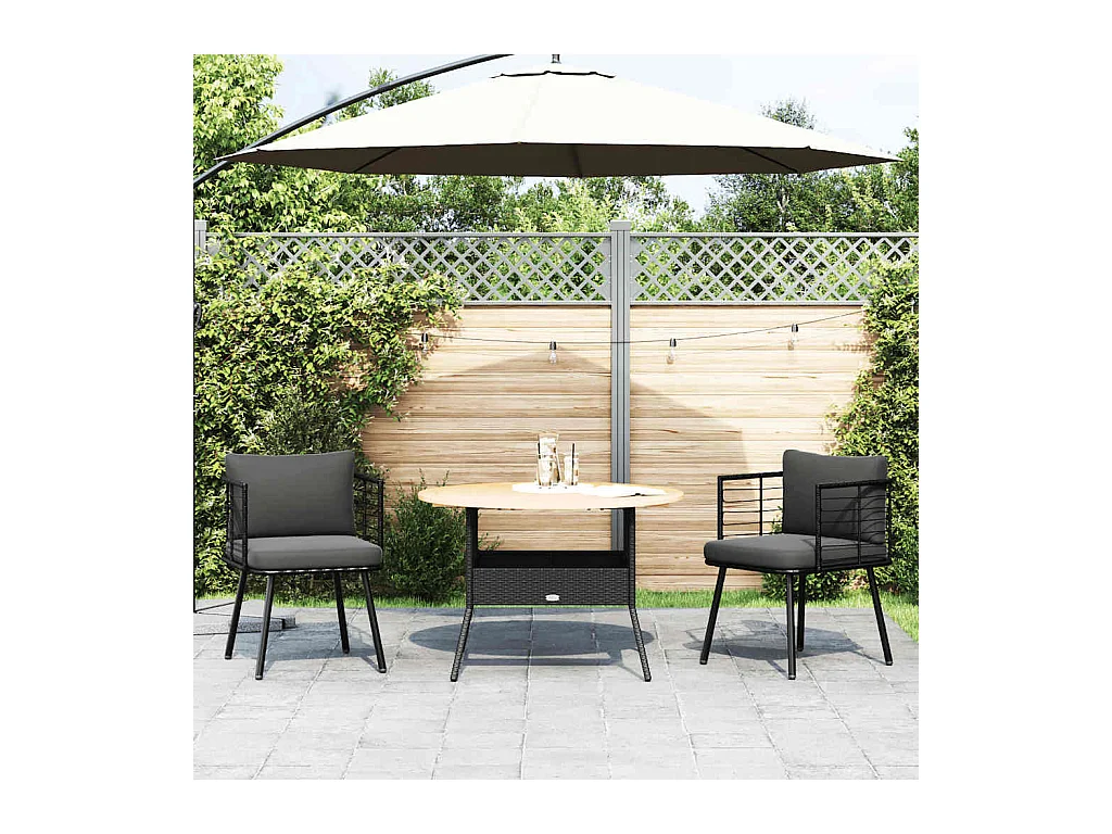 Chaises de jardin lot de 2 avec coussins noir résine tressée