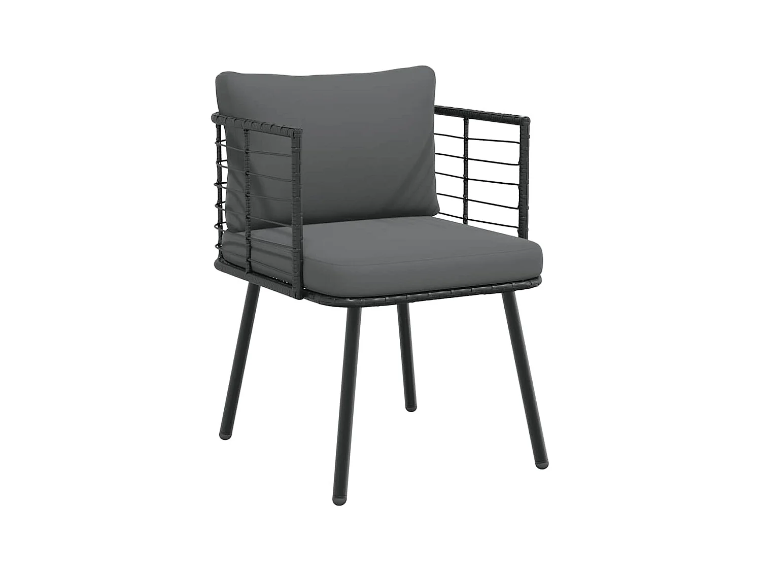 Chaises de jardin lot de 2 avec coussins noir résine tressée